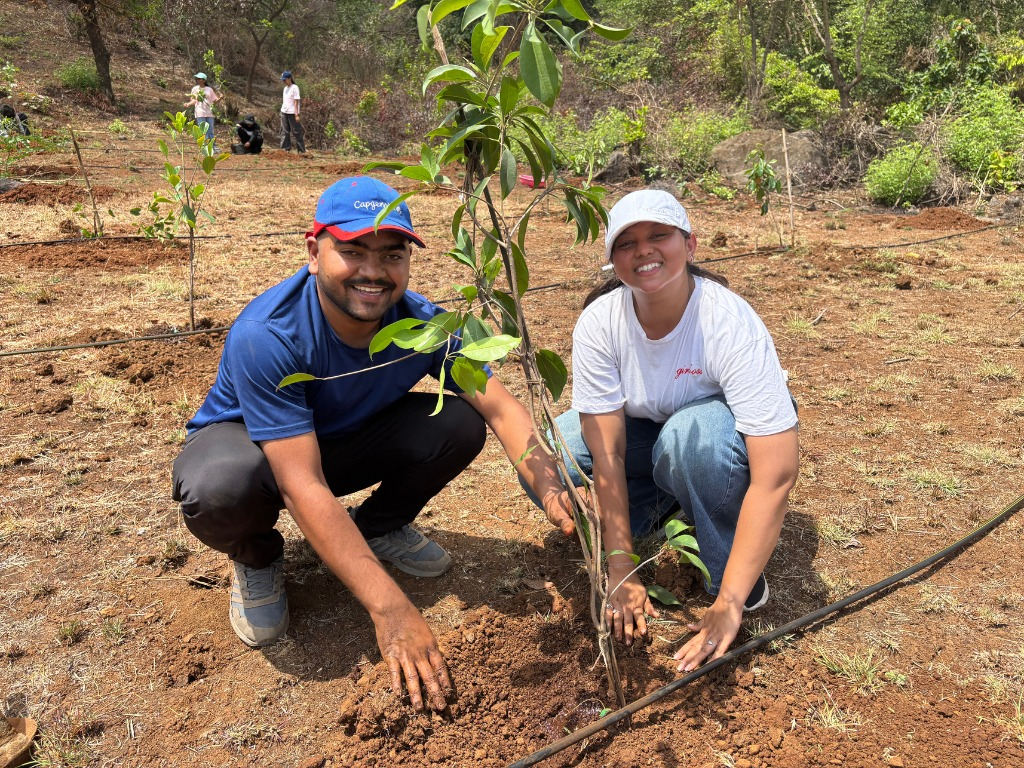 Tree Plantation Drives