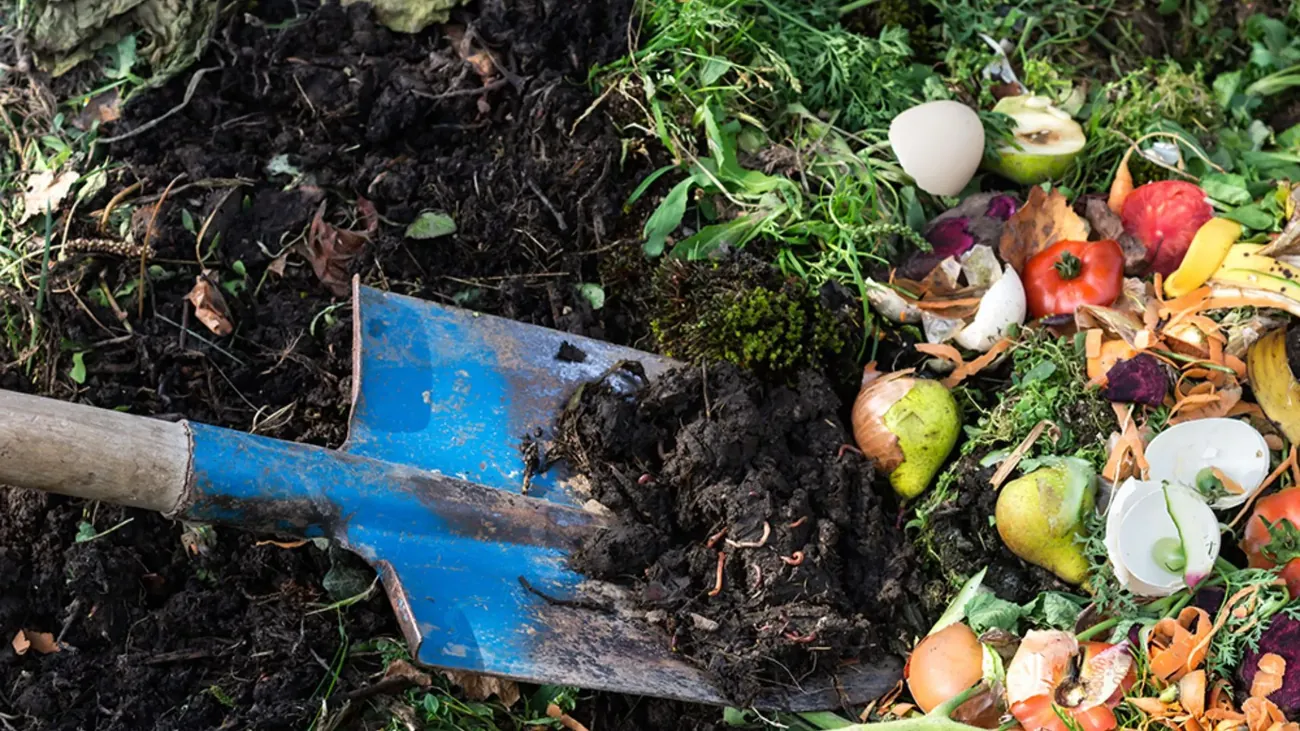 plantation-drives cleanliness-drives waste-management paperbag-making recycling plantation environment-conservation 