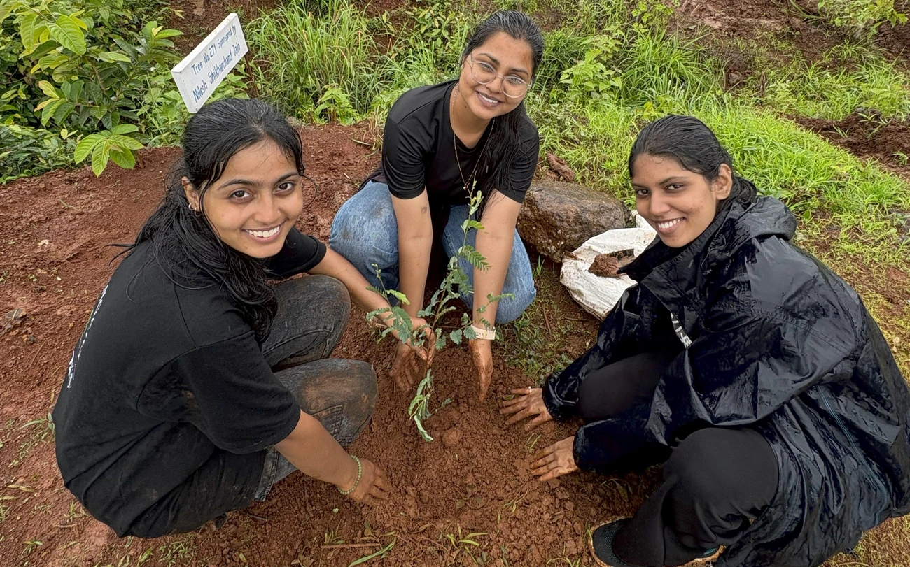 Climate change Environment Plantation