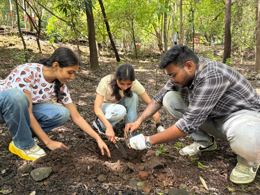 Climate change Environment Plantation
