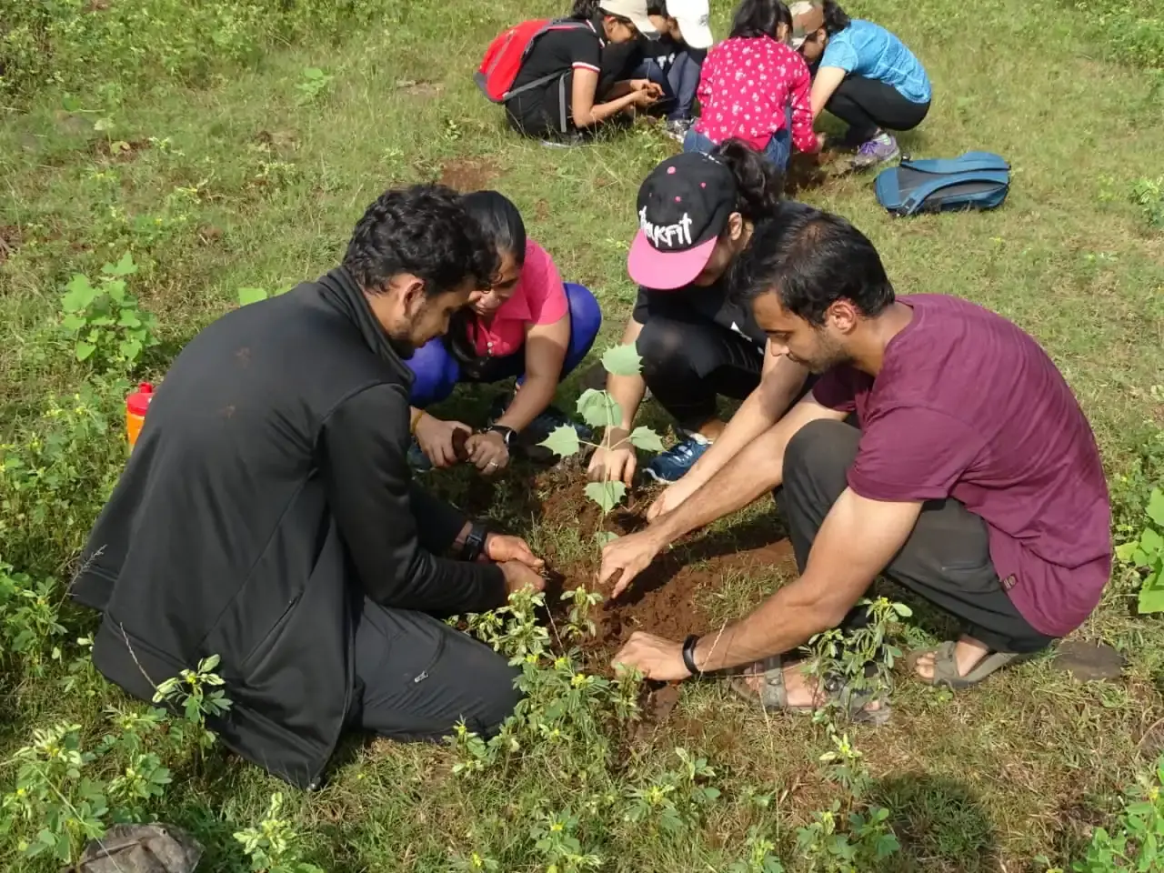 plantation drives cleanliness paperbag environment conservation