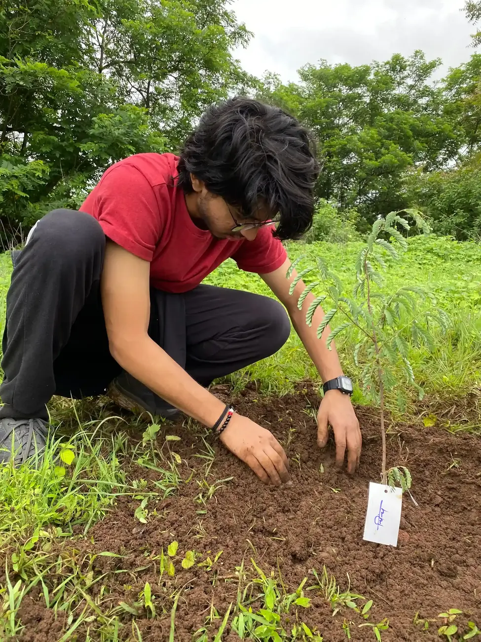 plantation drives cleanliness paperbag environment conservation