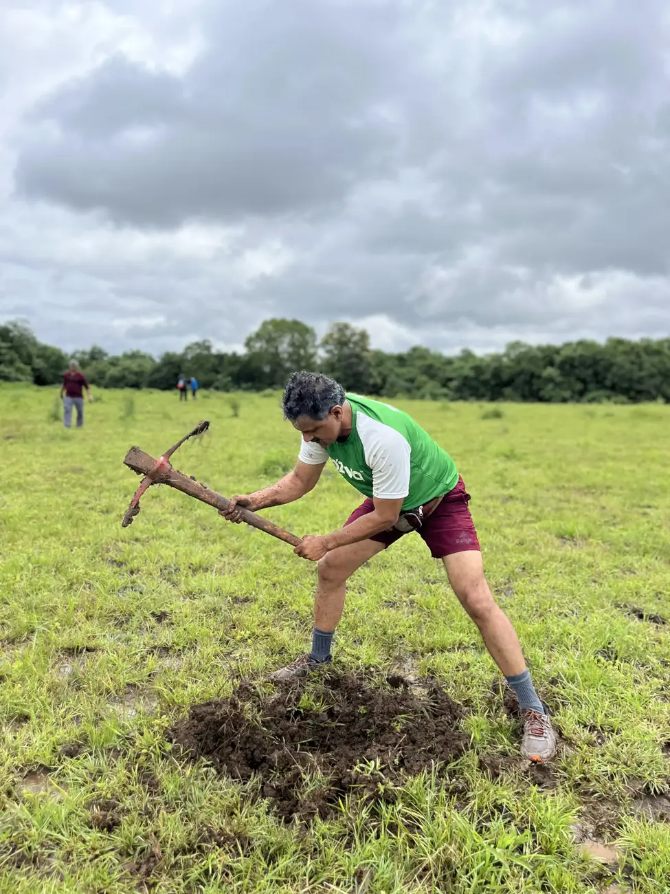 plantation drives cleanliness paperbag environment conservation