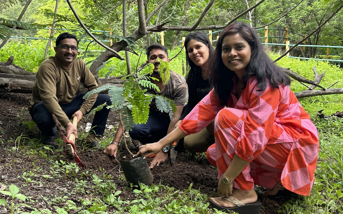 Climate change Environment Plantation