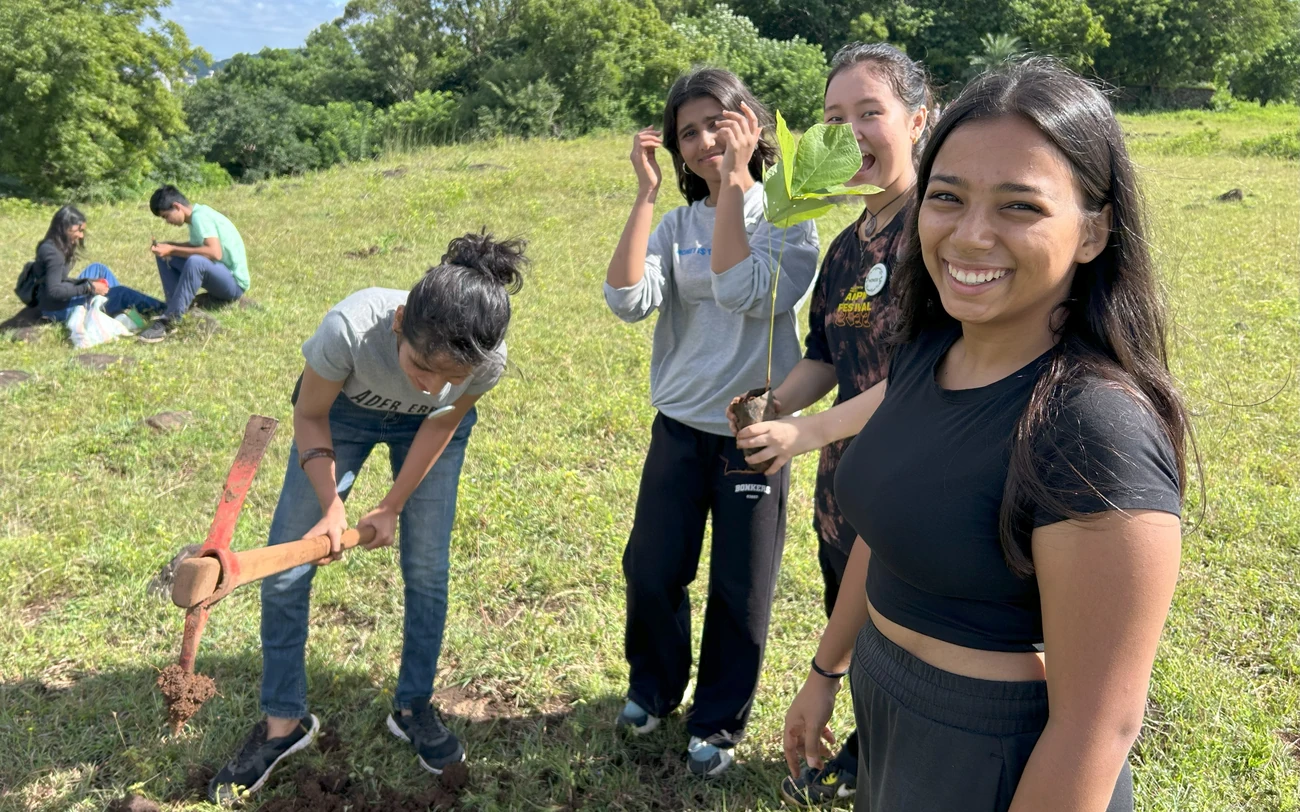 Climate change Environment Plantation