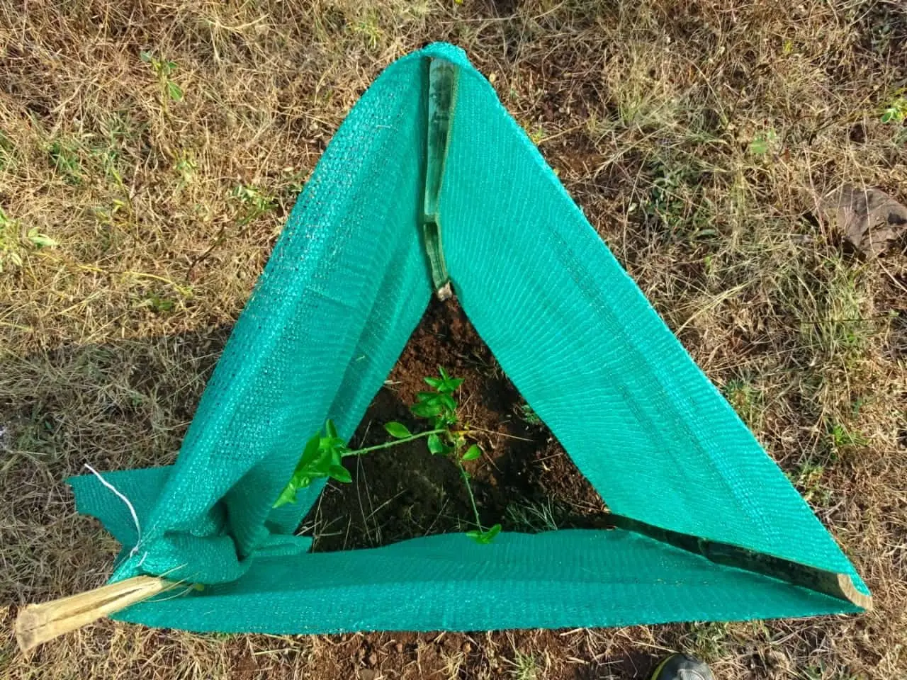 Green Shed Installation